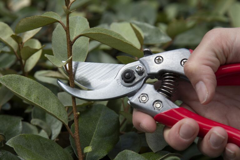 Professional Pruning Shears Guide: Top Brands Reviewed