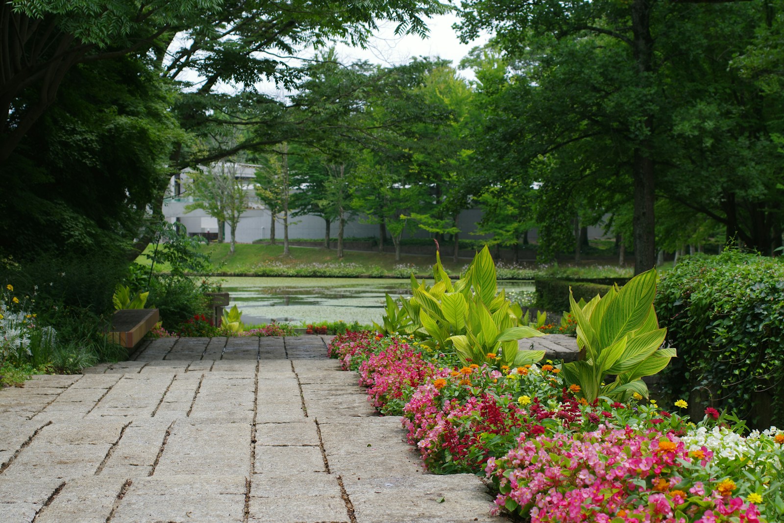 A garden with a brick walkway and lots of flowers